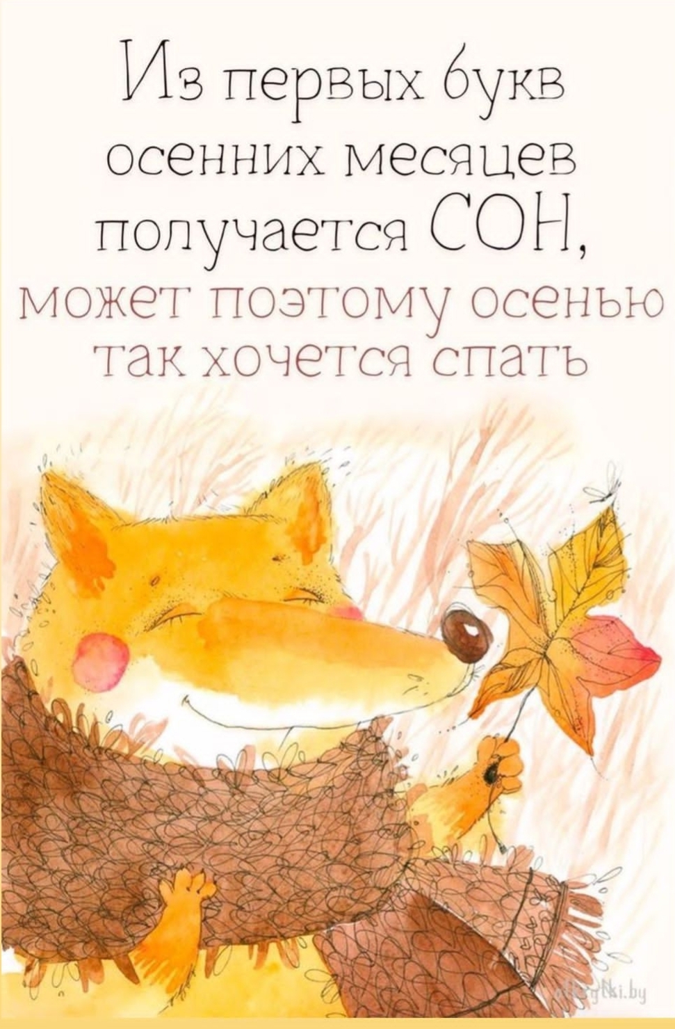 Поймай сон за хвост — фото 2